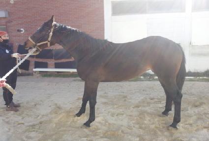 ������������ ����