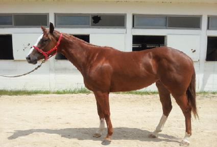 Ȳ�ݺ������� ����