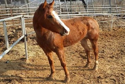 �����Ƽ ����