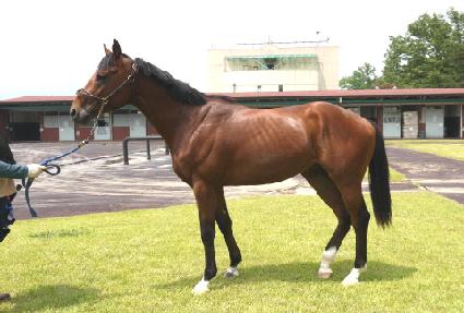 �������� ����