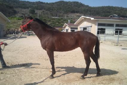 ���Ͻô� ����