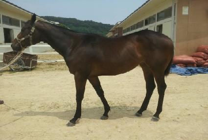 ����Ʈ ����