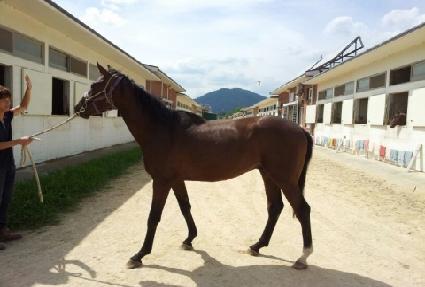 �αͿ��� ����