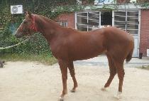 ��⿩�� (BAENGNYEON YEOIN) ����