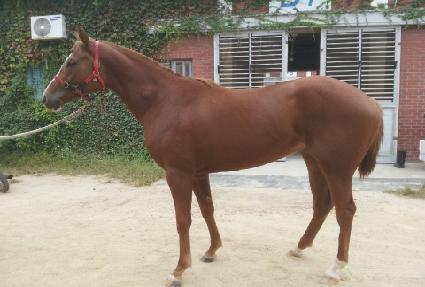 ��⿩�� ����