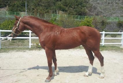 �߾Ӵ�õ ����