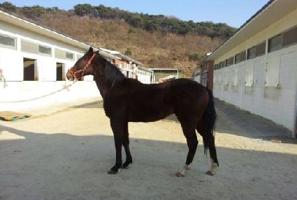 ��Ʈ����ũ ����