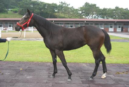 ����Ʈ�׺Ҹ� ����