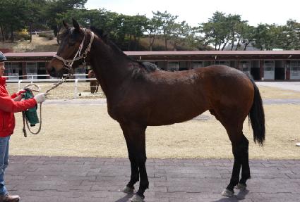 �������� ����