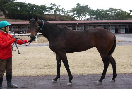 �����񷯺� ����