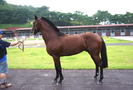 ��Ʈ��Ĺ ����