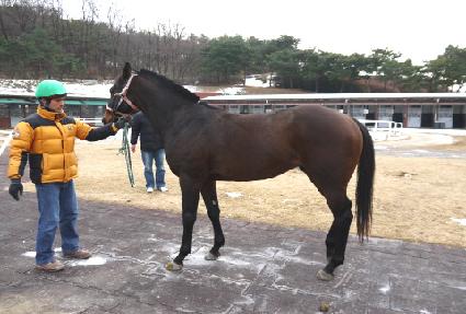 ���ų�� ����