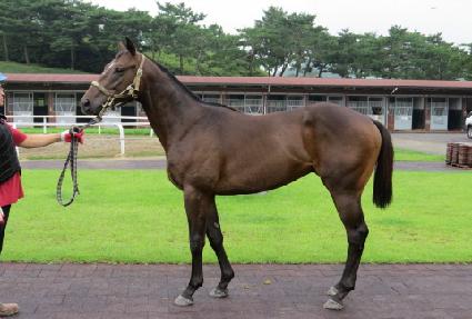 ��Ʈ������ ����