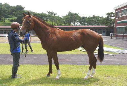 ����¡�н�Ʈ ����