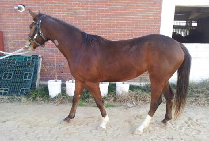 ������޴� ����