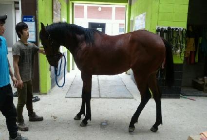 ������ ����