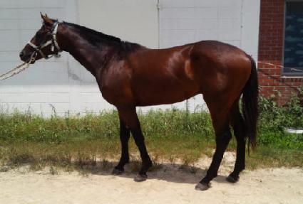 �ٶ����� ����