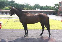 ����Ʈ���� (PERFECT BOY) ����