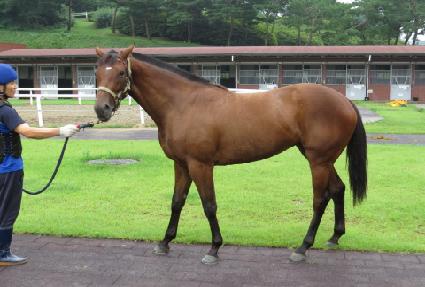 ����ġ��� ����