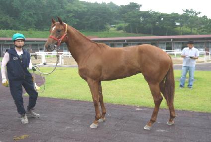 Ʈ����ȣ�� ����