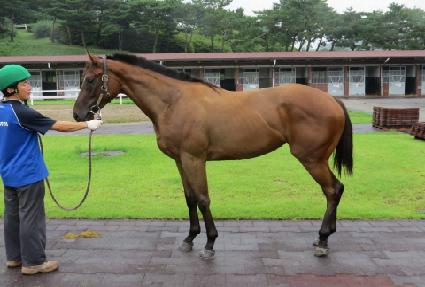 ��Ʈ�շ��� ����