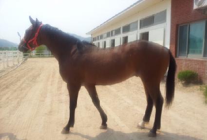 ȣ������ ����