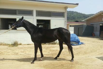 ŷ���꺣��Ʈ ����