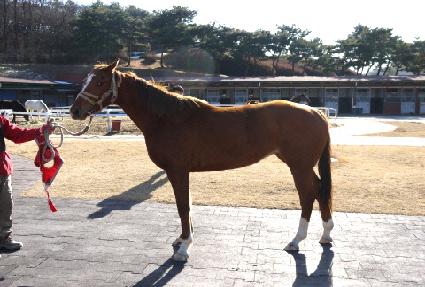 ��Ÿ����Ŀ ����