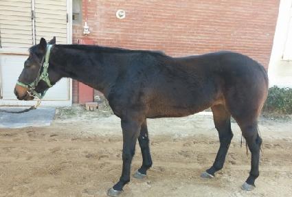 �̸� ����