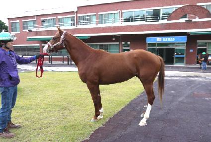 �����Ǻ� ����