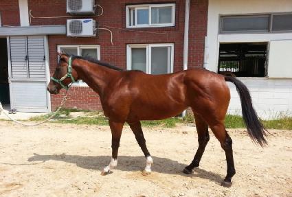 �����ŷ�� ����