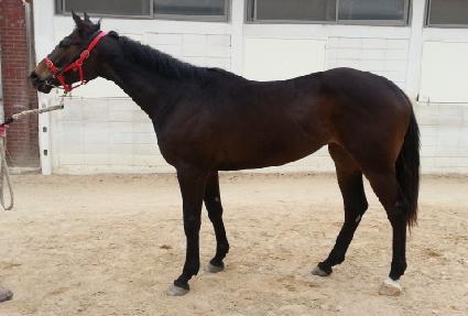 ��������̵� ����