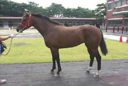 ��ü��Ÿ ����