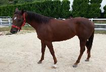 �߼����� (YASEONG BONNEUNG) ����