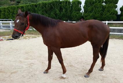 �߼����� ����