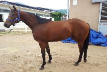 ���ѽ��ǵ� (MUHAN SPEED) ����