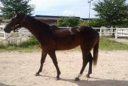 ��ȣ����̺� ����