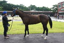 ����빮 (SABALTONGMUN) ����