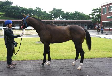 ����빮 ����