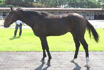 ���Ѻ� (DAEHANBONG) ����