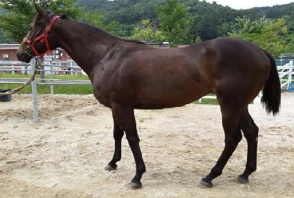 ���丮�� ����