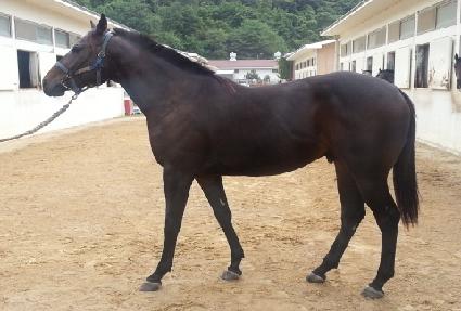 ���ڵ弼�� ����