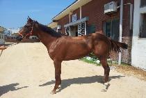 õ������ (CHEONJI YEOJE) ����