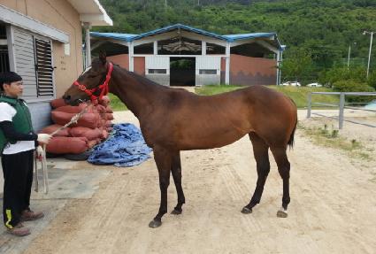 �泲���̽� ����