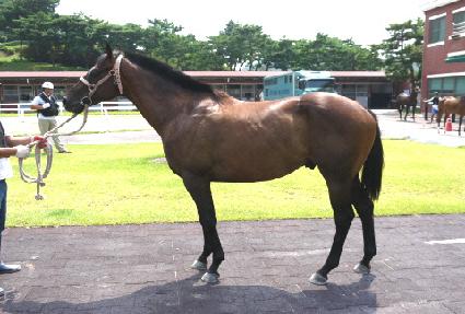 ��ŰŸ�� ����