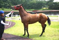 õ���Ǽ��� (CHEONSAUI SEONMUL) ����