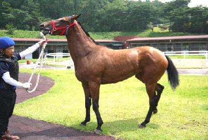 õ���Ǽ��� ����