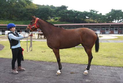 �����ǿ��� ����