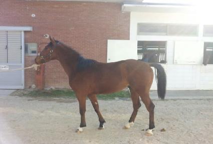 ������� ����