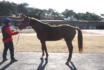 �������̴� (MAGIC RIDER) ����